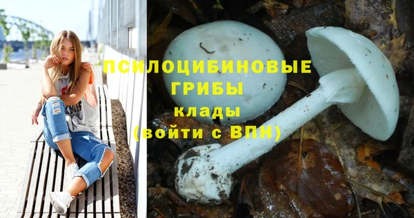 кокаин премиум Алексеевка