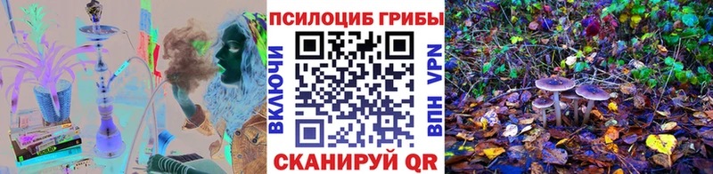 Псилоцибиновые грибы мухоморы Зеленоградск